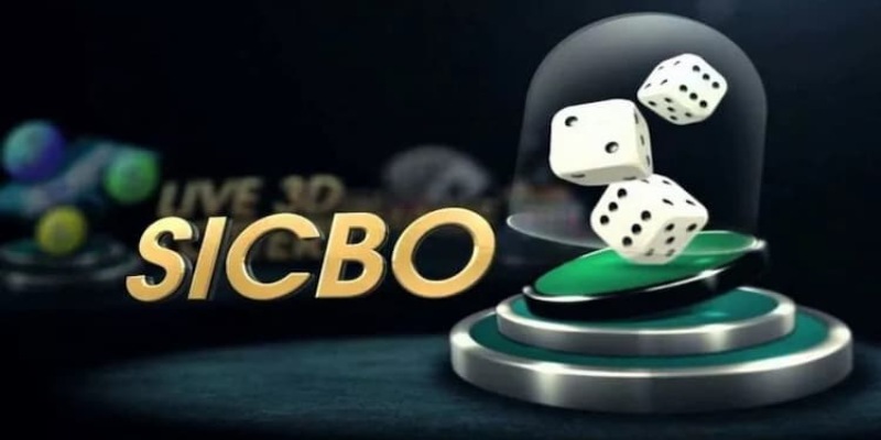 Theo dõi kết quả và lịch sử Tài Xỉu HitClub nhanh chóng